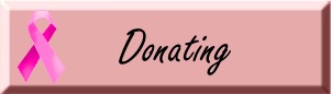 Donating to Bras for a Cause